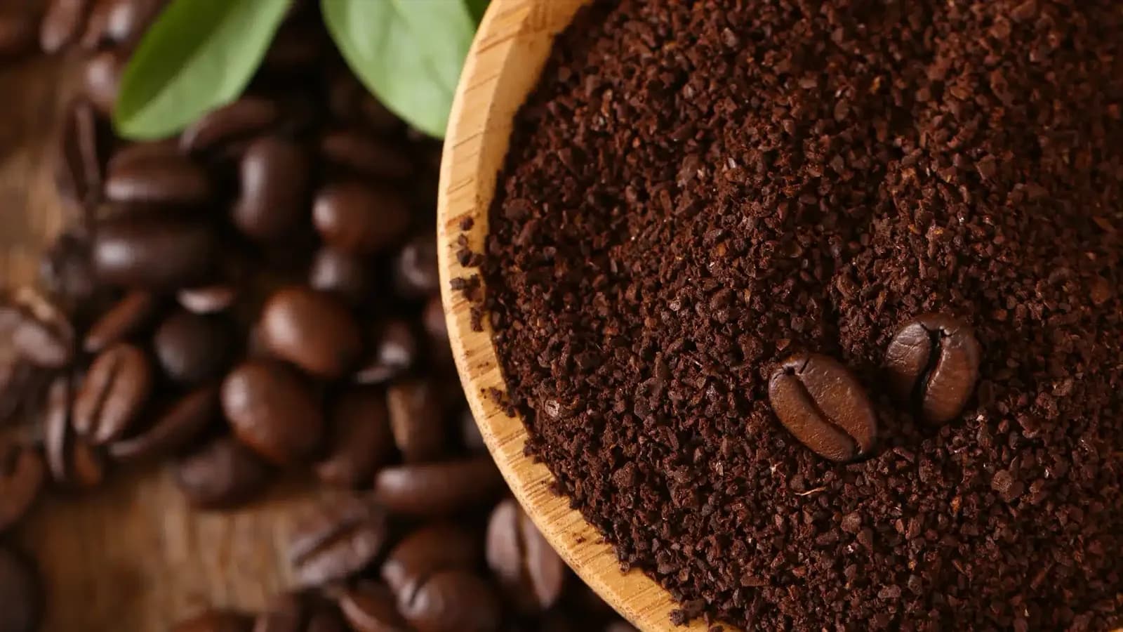 Öğütülmüş Kahve Paketlemede Kalite Standartları
